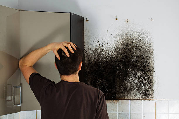 Best Local Mold Removal Service  in Bigfoot, TX